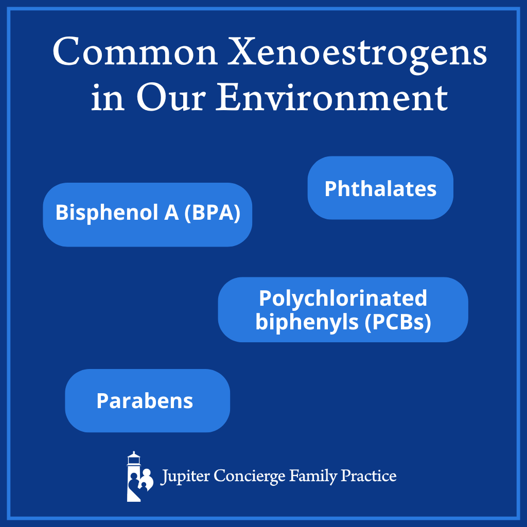 Infographic: The Plastic-Cancer Connection: Xenoestrogens’ Hazardous Role in Health