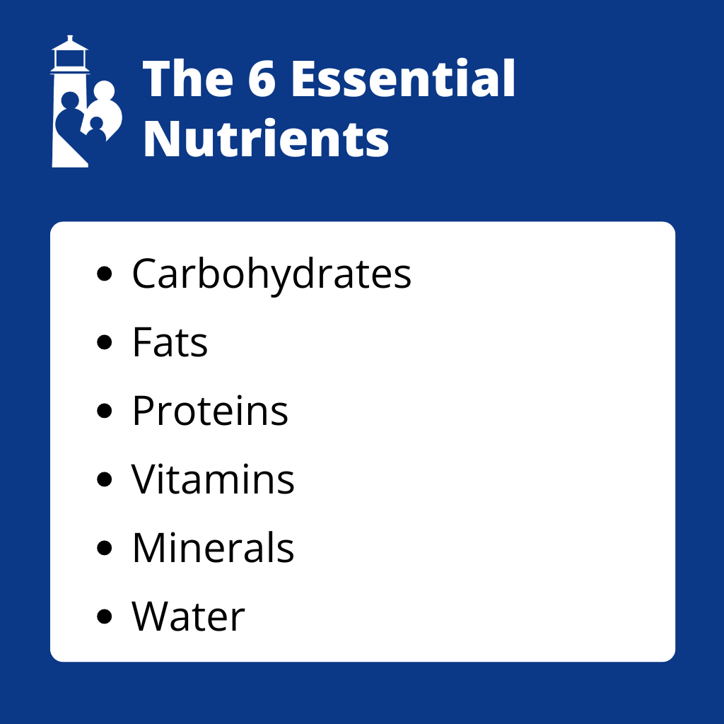 Infographic: What Are the 6 Essential Nutrients: Decoding a Balanced Diet